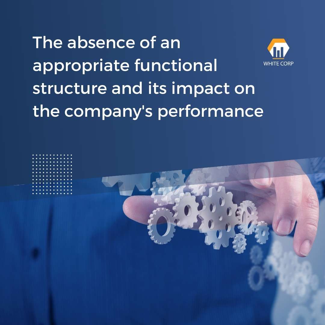 The absence of an appropriate functional structure and its impact on the company's performance