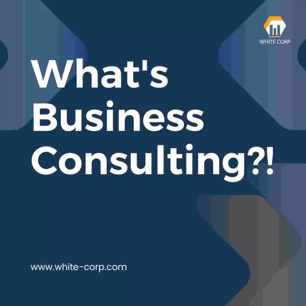 What is Business Consulting service